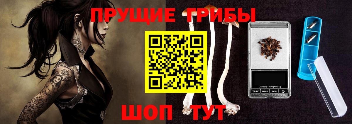 Каменск-Уральский  Псилоцибиновые грибы Magic Shrooms  Вход с VPN 